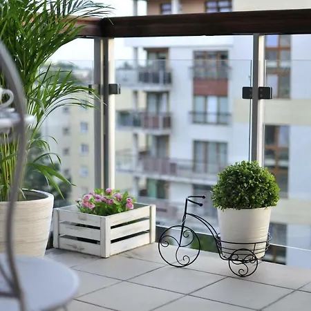Rent Apartment